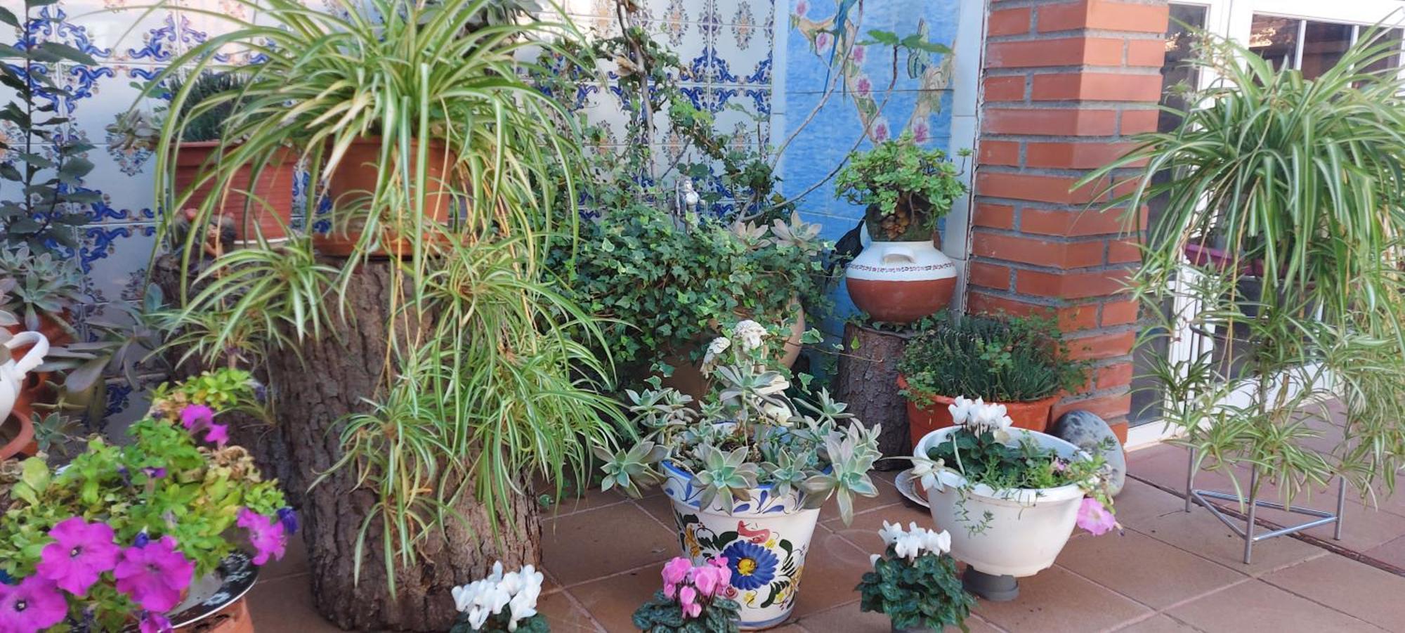 Apartment Habitacion,piscina Y Jardin *